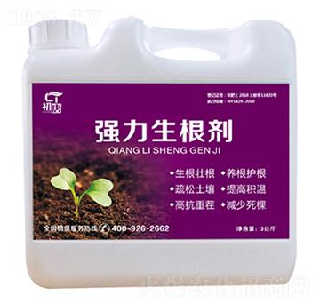 ����������-����-�֮��