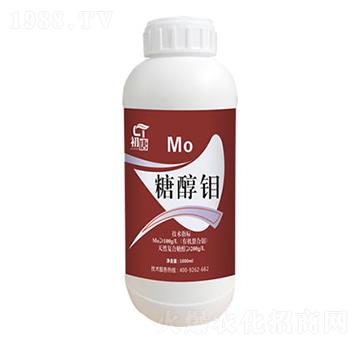 �Ǵ��f-����-�֮��