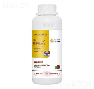 �Ǵ��~���p���ϣ�-�W����