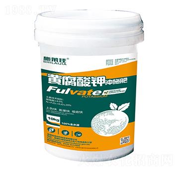 �S����⛛_ʩ��-ʩ�R��-ӯ�S�r�I(y��)