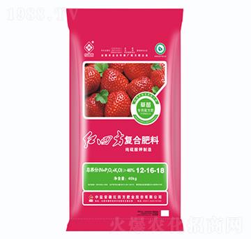 ��ݮ��(zhu��n)�Ï�(f��)�Ϸ���12-16-18-�t�ķ�