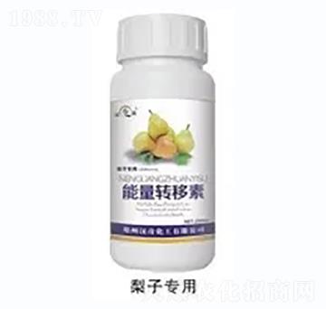 ���������D(zhu��n)����-�h�滯��