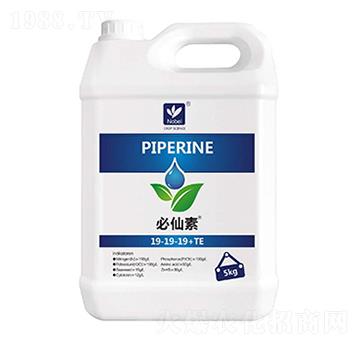 �Zؐ����������19-19-19+TE-������