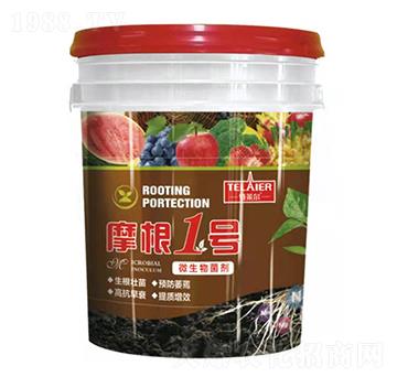 Ħ��1̖΢�������-���R��