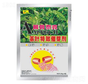 茶葉催芽劑-阿姆泰克-迦姆農業(yè)