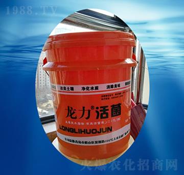 �������-��������