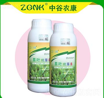 茶葉嫩芽豐-中谷農(nóng)康