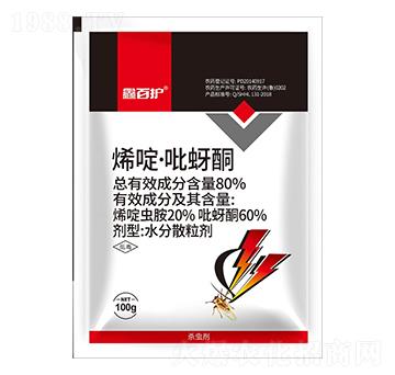 80%ϩड�����ͪ-�ΰ��o