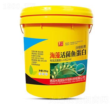 �������~(y��)����-ʥ�ϝ�(r��n)