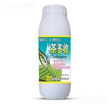 �����-ʥ�ϝ�(r��n)