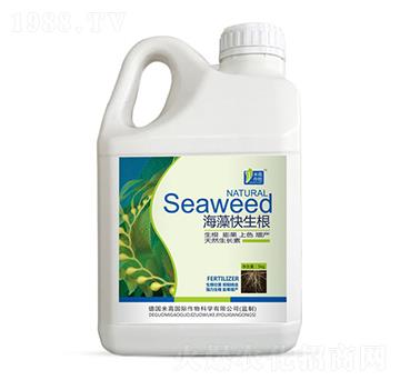 ���������-ʥ�ϝ�(r��n)