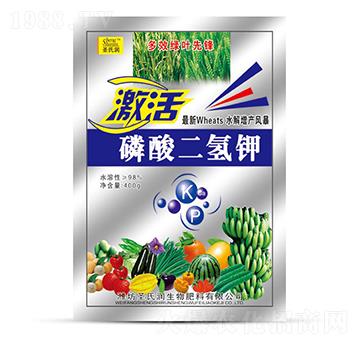 ��������400g-ʥ�ϝ�(r��n)