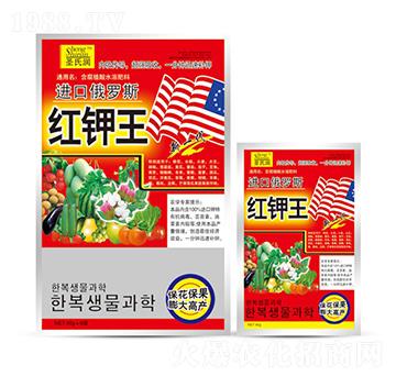 �t���-ʥ�ϝ�(r��n)