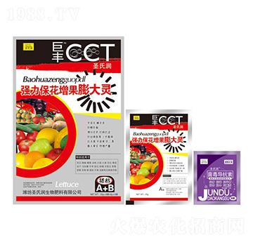 ��(qi��ng)��������������`-ʥ�ϝ�(r��n)