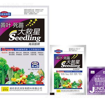 �S�~��������-ʥ�ϝ�(r��n)