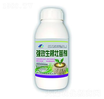 �����������焩-�����