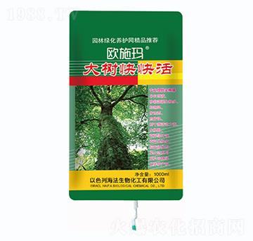 ���(sh��)����-һ������(l��i)