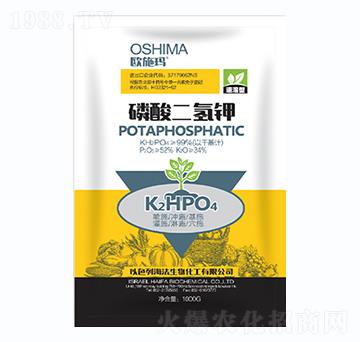 �������⛣��S��-һ������