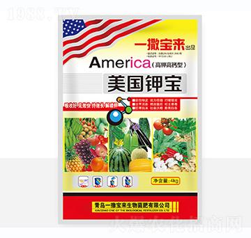 ����(gu��)⛌�-һ������(l��i)