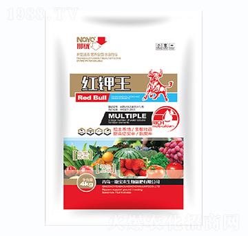 �t���-һ������