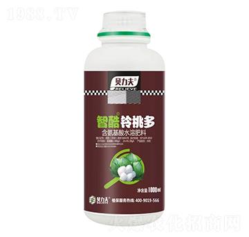 �ǿ���Ҷ�-ؐ����-� ��S