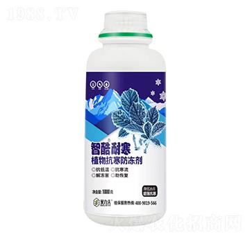 �ǿ��ͺ�ֲ�����������-� ��S