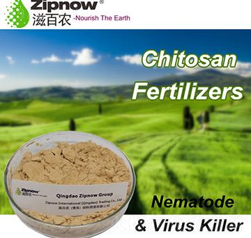 �����Ƿ��ϣ����x�Ͳ���