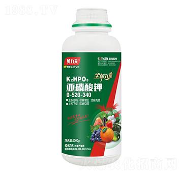 �������0-520-340-ؐ����-� ��S