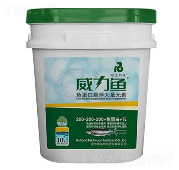 �~���בҸ�����Ԫ��200-200-200+�~����+TE-�����~-���˹��