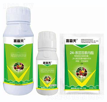 24-���|̦�؃�(n��i)֬-ϲ