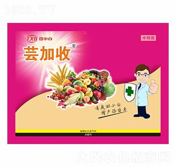 ȫ�I�B(y��ng)����߮a(ch��n)�ײ�-�|����-��С��