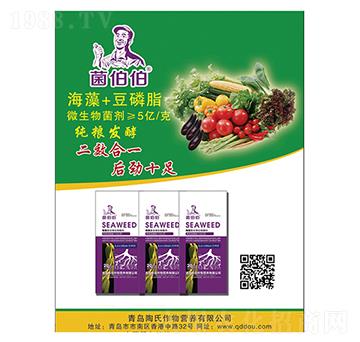 ����+����֬-������-��������