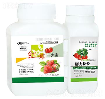 �tùһ��+������L(zh��ng)-������