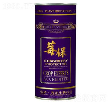 ݮ��-������