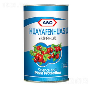 ��ѿ�ֻ���-������