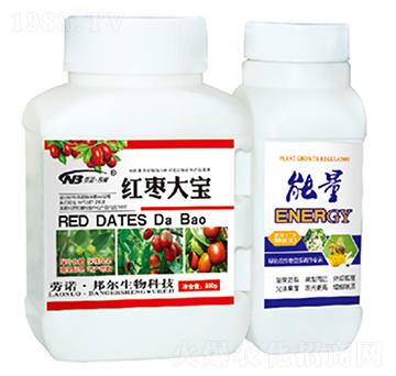 �t����+����-������