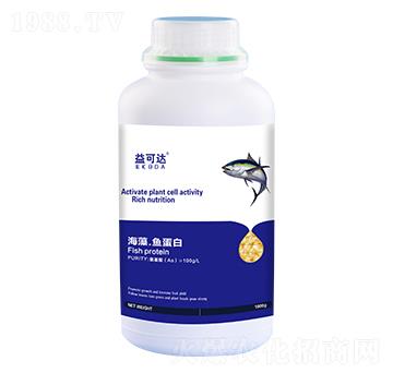 ���塤�~����-����_-�к̄���