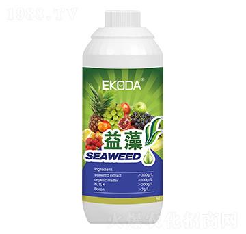 ����-����_(d��)-�к̄�(d��ng)��