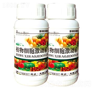 ֲ�：��������-������