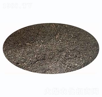 �嶼�۶����ЙC(j��)��-ʢ혈@