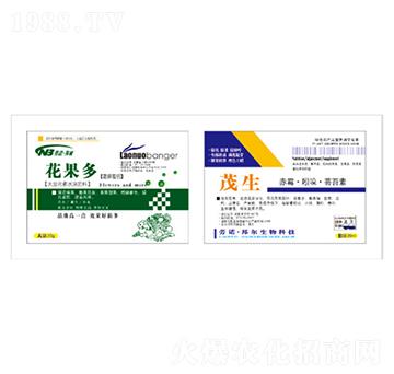 ������+��ù�����ᡤ�|̦��-������