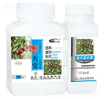 ����+������L(zh��ng)��-������