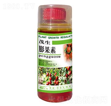 �����-������