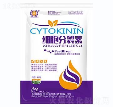 ����������-�����S