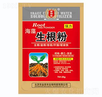 ����������-�����S