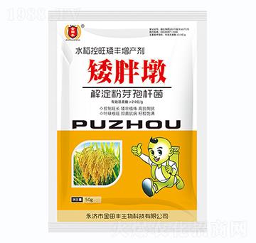 С����������-������-�����S