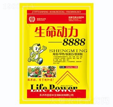 ��������8888-�����S