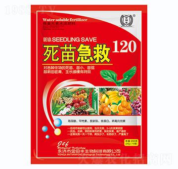 ���缱��120-�����S