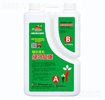 �������L�G�~�Ϳ�-�����S