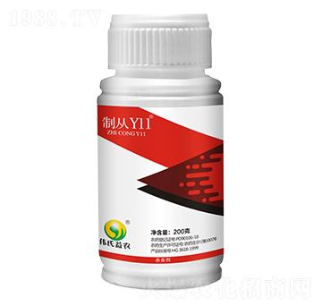 �K�ƽ�U���Ҹ���-�Ə�Y11-��ֲ��